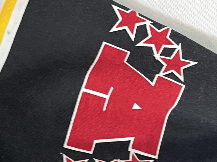 90s Pittsburgh Steelers Lee Sport T Shirt