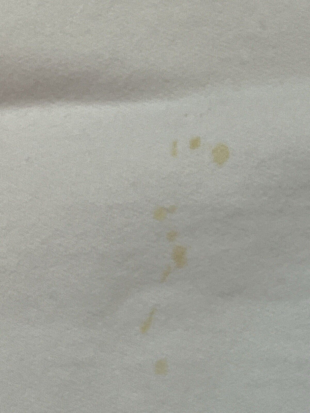 Vintage 90s Hanes Train Crewneck Sweatshirt